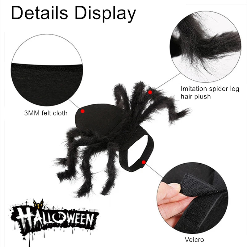 Halloween Spinnenkostüm für Hunde & Katzen – Cosplay Party