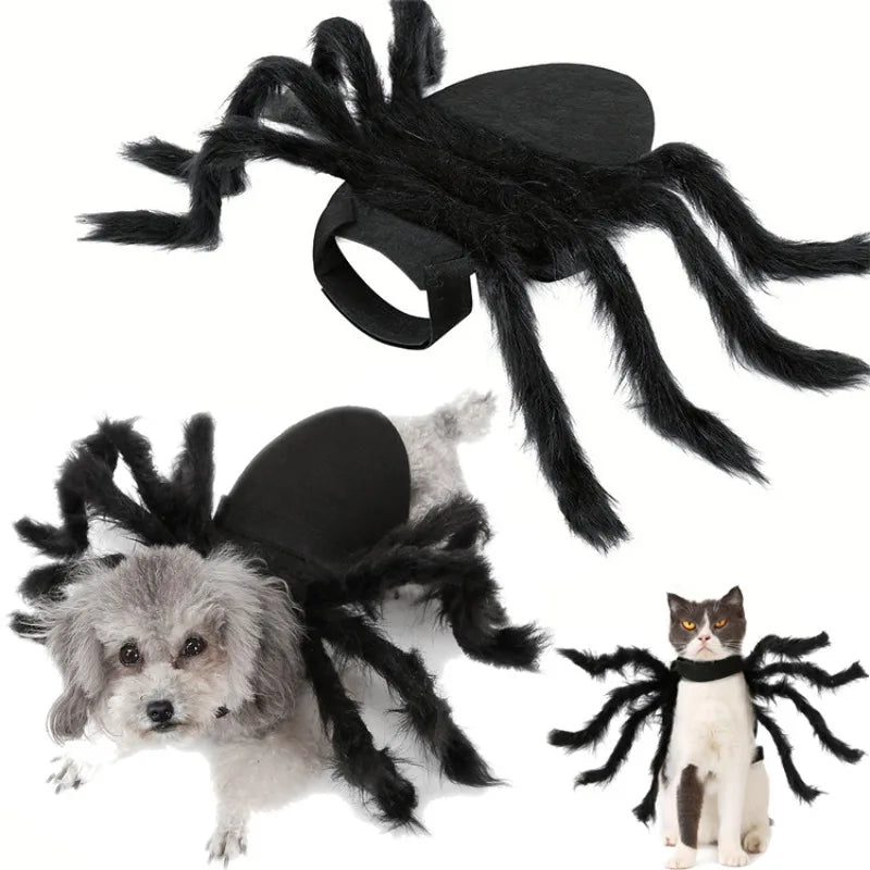 Halloween Spinnenkostüm für Hunde & Katzen – Cosplay Party