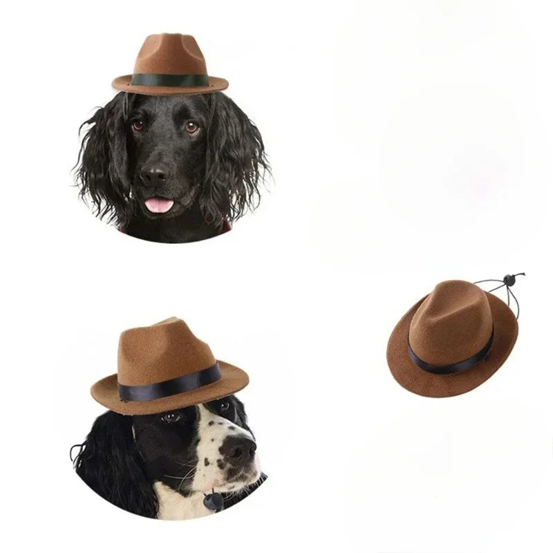 Lustige Pet Cosplay Flügel