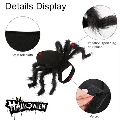 Halloween Spinnenkostüm für Hunde & Katzen – Cosplay Party