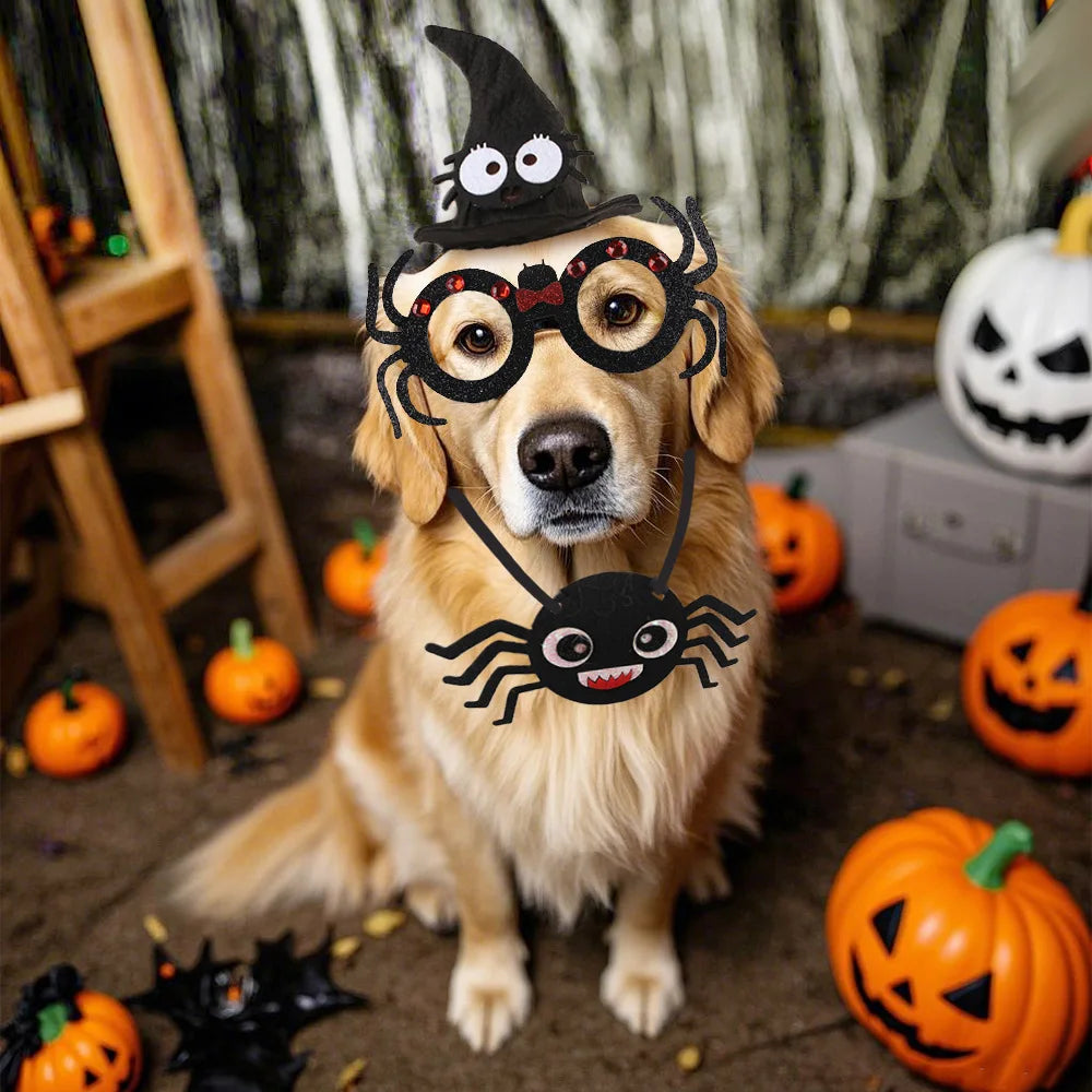 Lustige Pet Cosplay Flügel