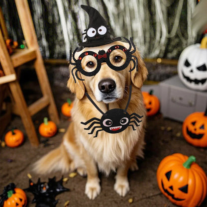 Lustige Pet Cosplay Flügel