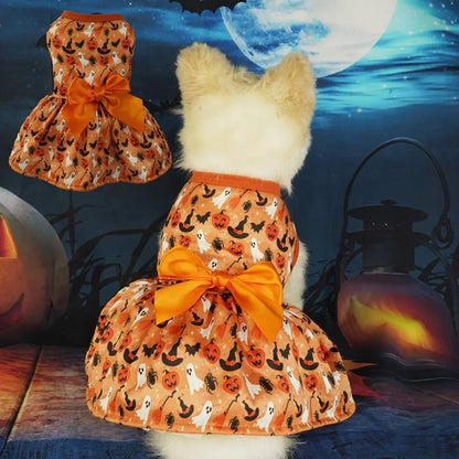 Halloween Haustierkostüm