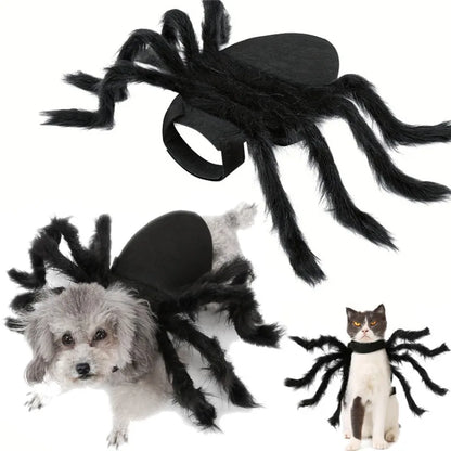 Halloween Spinnenkostüm für Hunde & Katzen – Cosplay Party