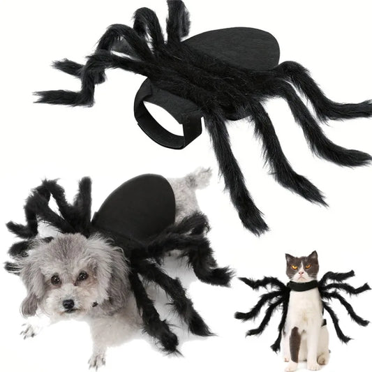 Halloween Spinnenkostüm für Hunde & Katzen – Cosplay Party