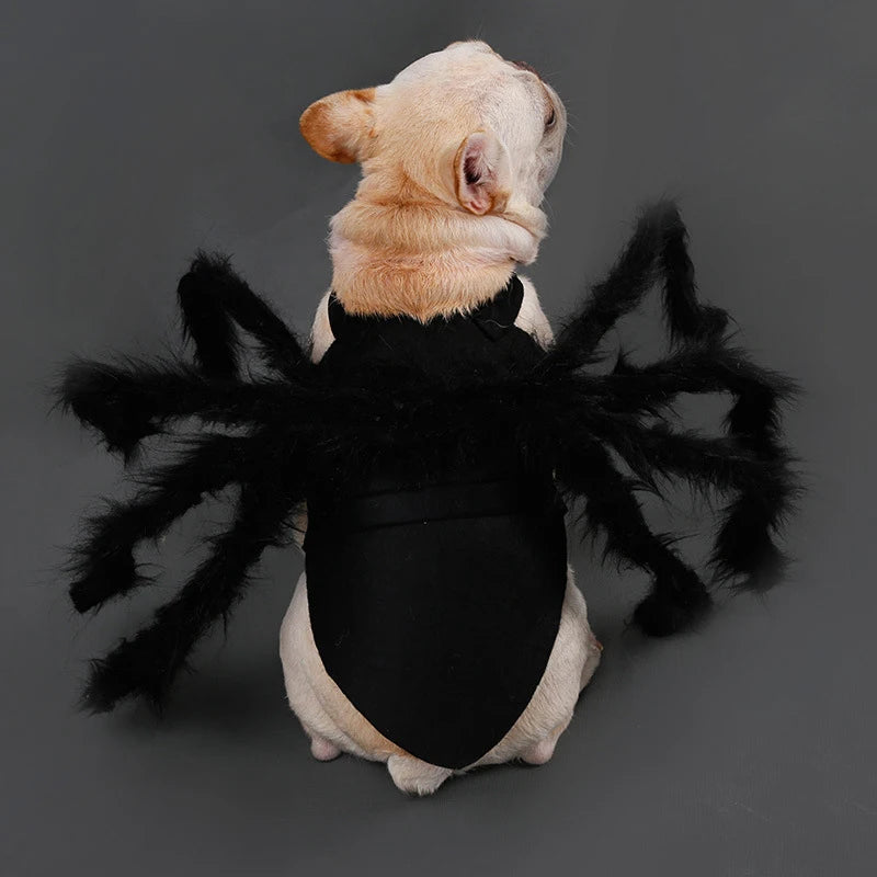 Halloween Spinnenkostüm für Hunde & Katzen – Cosplay Party
