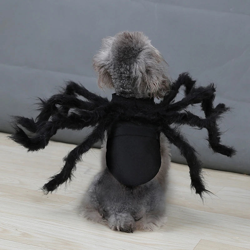 Halloween Spinnenkostüm für Hunde & Katzen – Cosplay Party