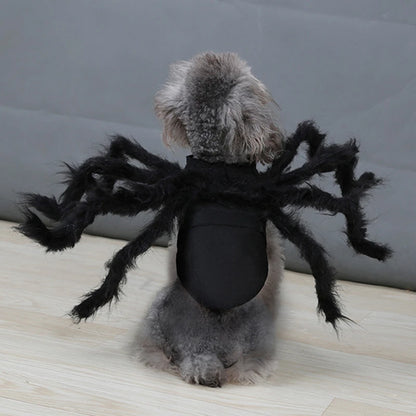 Halloween Spinnenkostüm für Hunde & Katzen – Cosplay Party