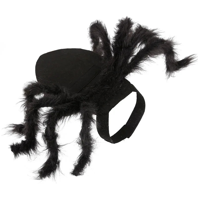 Halloween Spinnenkostüm für Hunde & Katzen – Cosplay Party