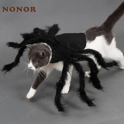 Halloween Spinnenkostüm für Hunde & Katzen – Cosplay Party