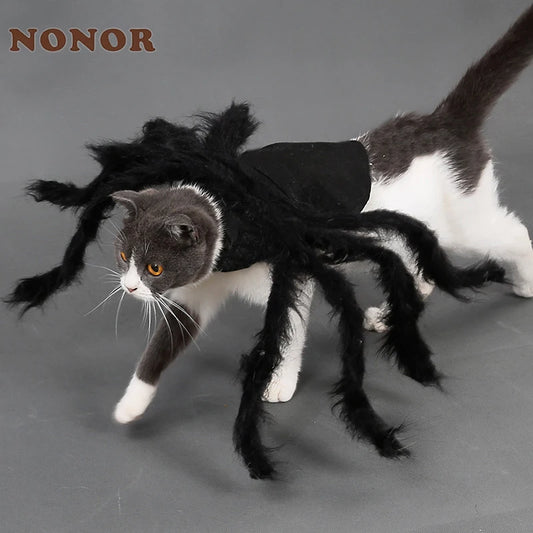 Halloween Spinnenkostüm für Hunde & Katzen – Cosplay Party